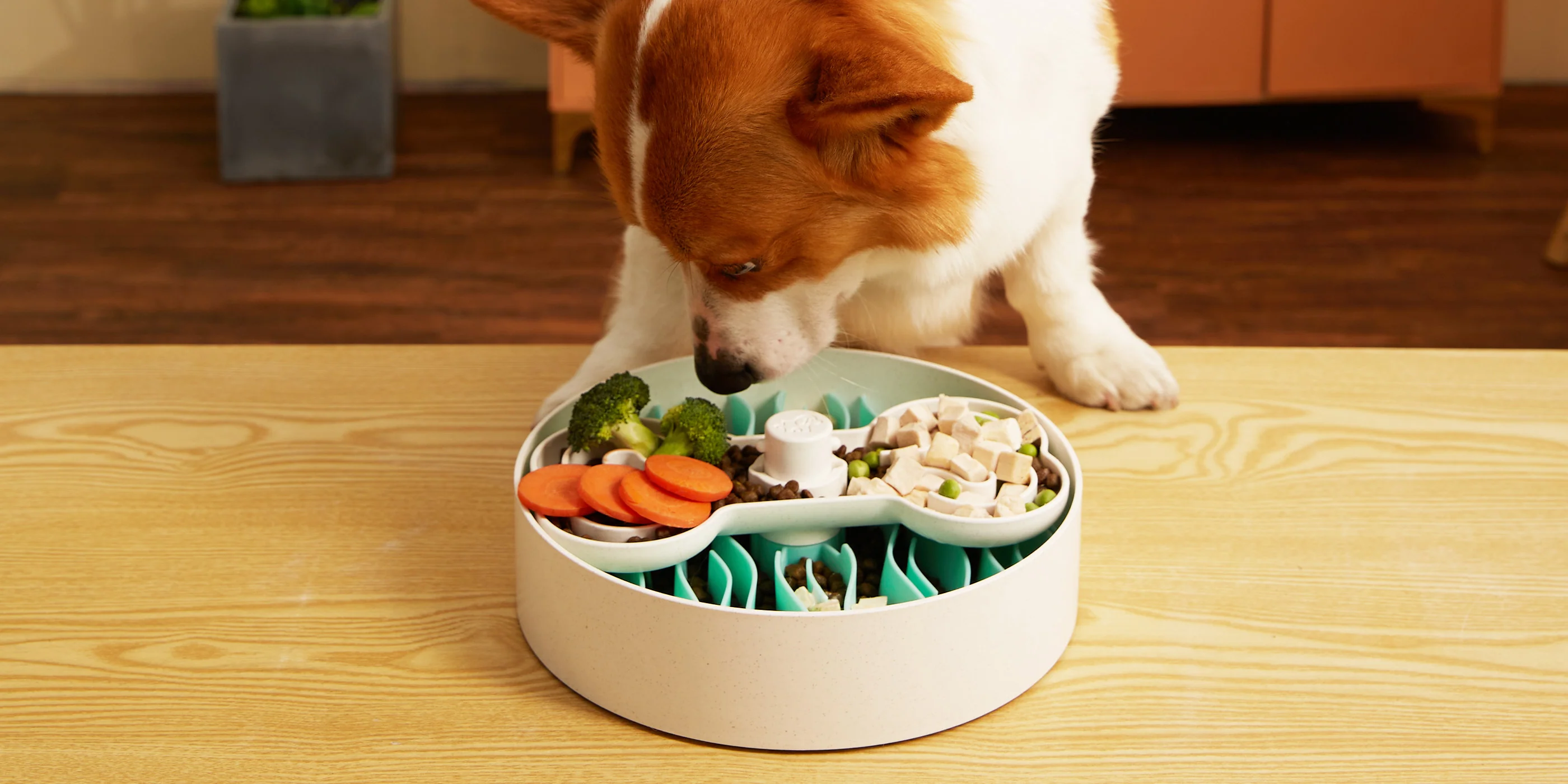 Eco-Friendly Design, Safer Dining